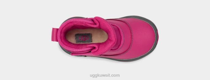 الطقس تاني شربات التوت / رمادي الأطفال الصغار UGG 08HB316