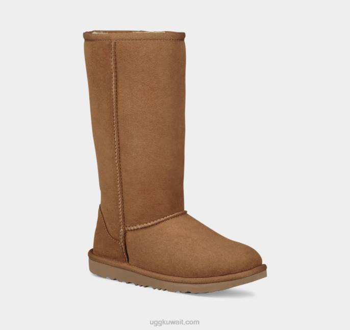حذاء طويل كلاسيكي II كستناء أطفال UGG 08HB1718