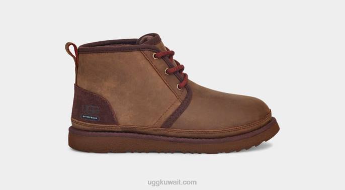 نيوميل الثاني الطقس أشيب أطفال UGG 08HB2090