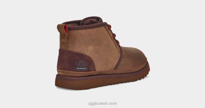 نيوميل الثاني الطقس أشيب أطفال UGG 08HB2090