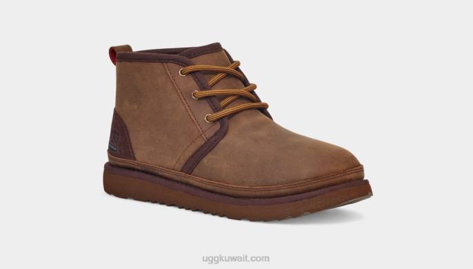 نيوميل الثاني الطقس أشيب أطفال UGG 08HB2090