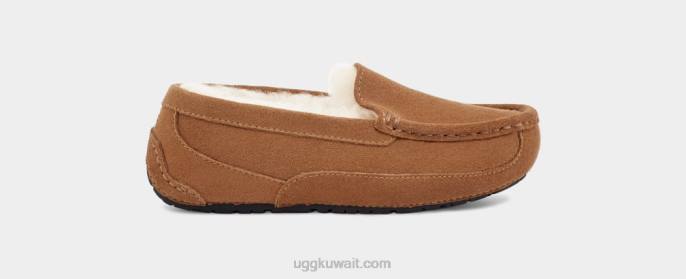 أسكوت سويدي الكستناء أطفال UGG 08HB2325