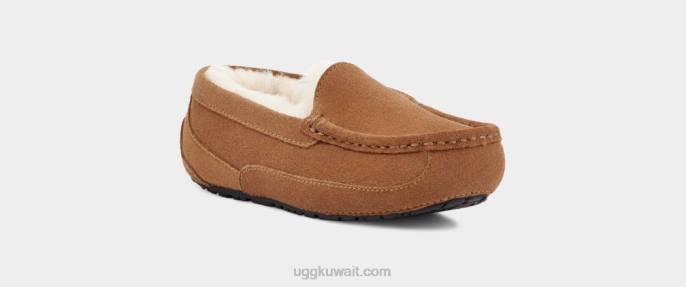 أسكوت سويدي الكستناء أطفال UGG 08HB2325