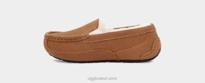 أسكوت سويدي الكستناء أطفال UGG 08HB2325