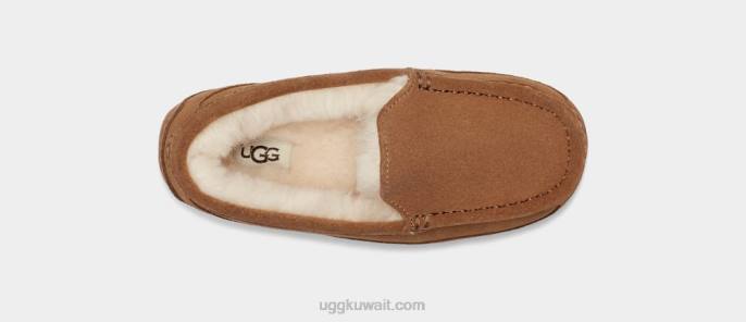 أسكوت سويدي الكستناء أطفال UGG 08HB2325