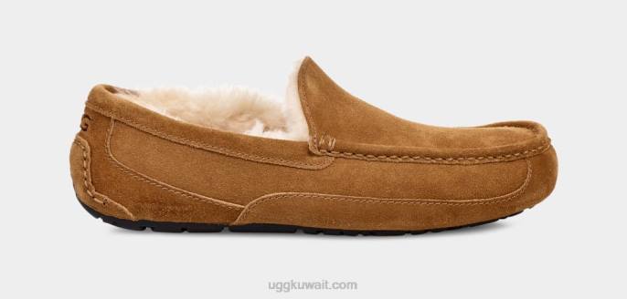 شبشب أسكوت كستناء رجال UGG 08HB1421