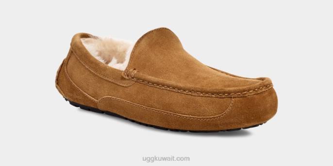 شبشب أسكوت كستناء رجال UGG 08HB1421