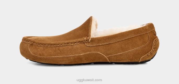 شبشب أسكوت كستناء رجال UGG 08HB1421
