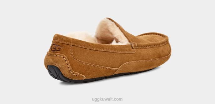 شبشب أسكوت كستناء رجال UGG 08HB1421