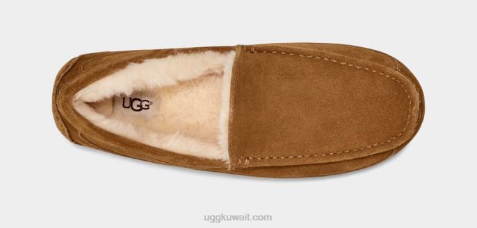 شبشب أسكوت كستناء رجال UGG 08HB1421