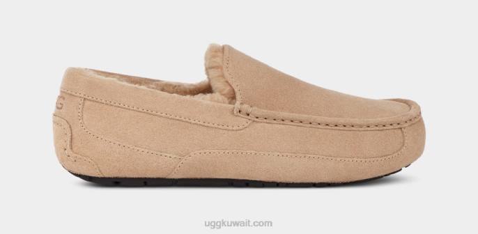 شبشب أسكوت رمل رجال UGG 08HB1423