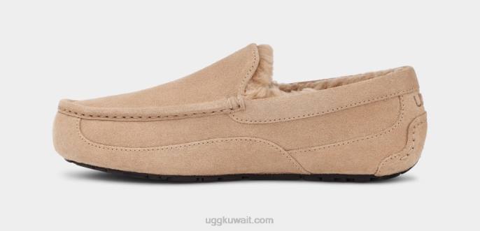 شبشب أسكوت رمل رجال UGG 08HB1423