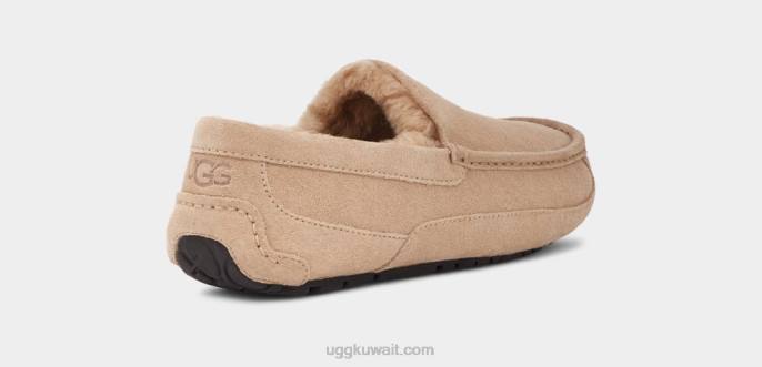 شبشب أسكوت رمل رجال UGG 08HB1423