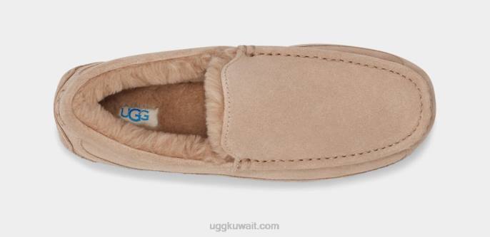 شبشب أسكوت رمل رجال UGG 08HB1423