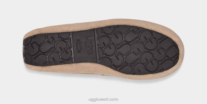 شبشب أسكوت رمل رجال UGG 08HB1423