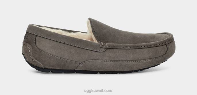 شبشب أسكوت رمادي رجال UGG 08HB1425