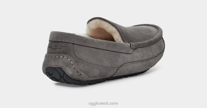 شبشب أسكوت رمادي رجال UGG 08HB1425
