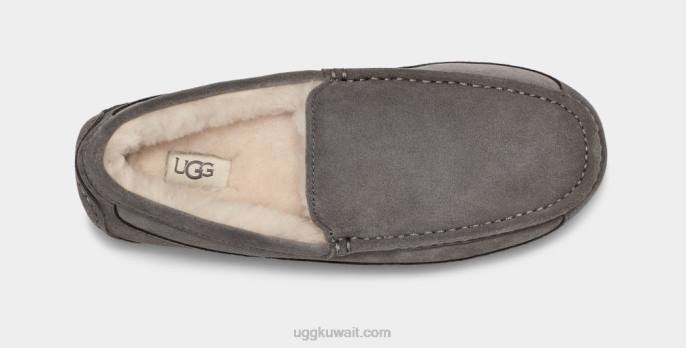 شبشب أسكوت رمادي رجال UGG 08HB1425