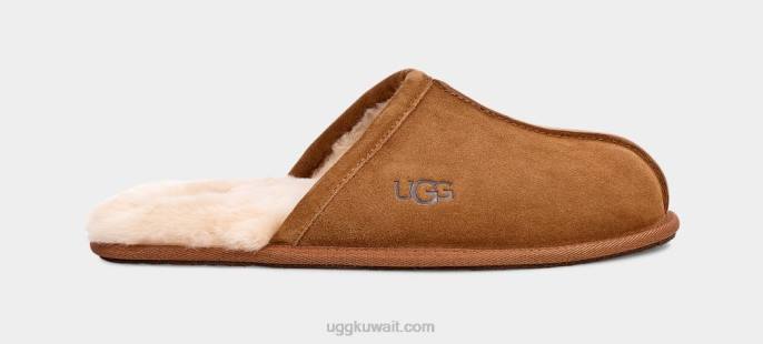 أبلى، حكة كستناء رجال UGG 08HB1426