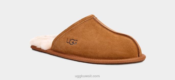 أبلى، حكة كستناء رجال UGG 08HB1426