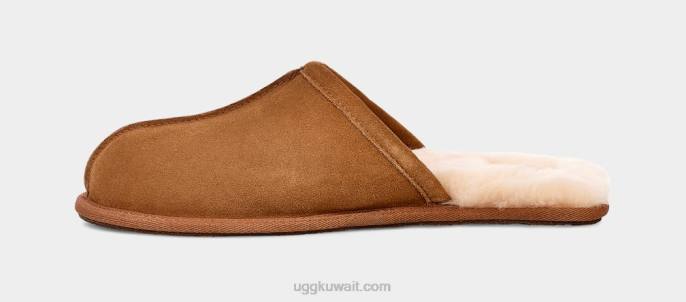 أبلى، حكة كستناء رجال UGG 08HB1426