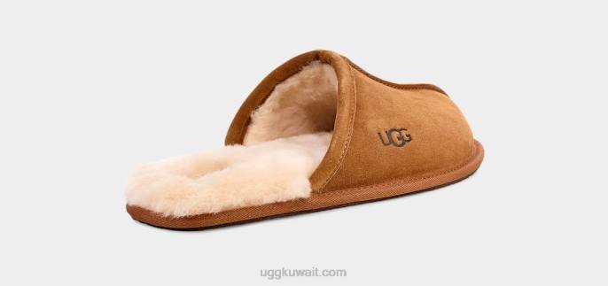 أبلى، حكة كستناء رجال UGG 08HB1426