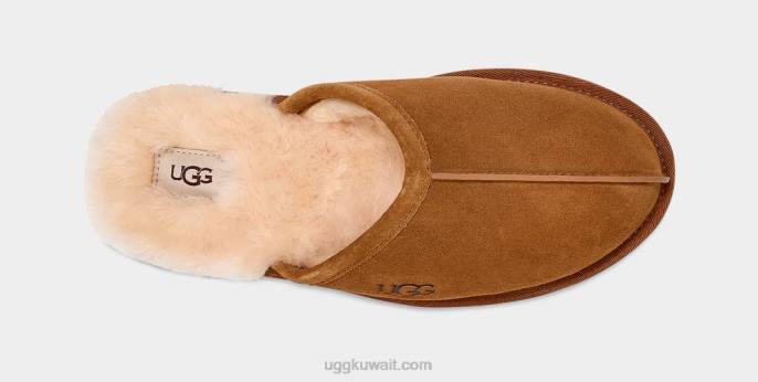 أبلى، حكة كستناء رجال UGG 08HB1426