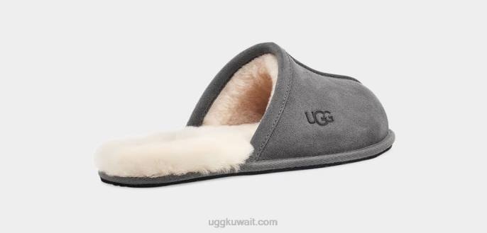 أبلى، حكة الرمادي الداكن رجال UGG 08HB1428