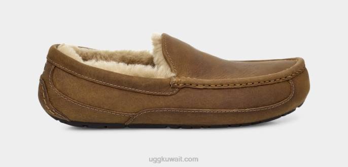 جلد أسكوت غير لامع تان رجال UGG 08HB1504