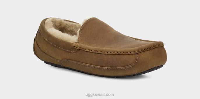 جلد أسكوت غير لامع تان رجال UGG 08HB1504