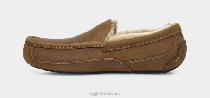 جلد أسكوت غير لامع تان رجال UGG 08HB1504