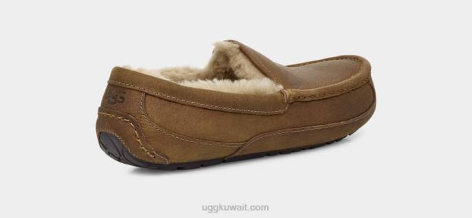 جلد أسكوت غير لامع تان رجال UGG 08HB1504
