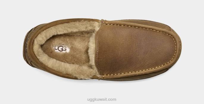 جلد أسكوت غير لامع تان رجال UGG 08HB1504