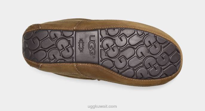 جلد أسكوت غير لامع تان رجال UGG 08HB1504