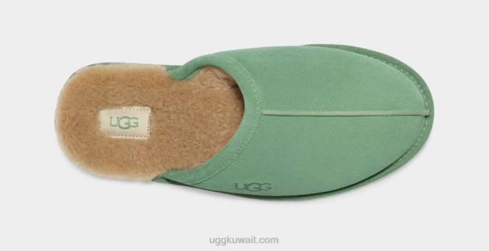أبلى، حكة مصنع الثلج رجال UGG 08HB1551