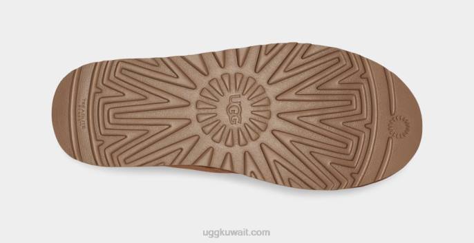 نيوميل كويك كليك كستناء رجال UGG 08HB1581