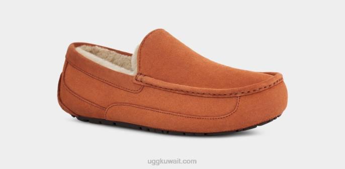 شبشب أسكوت خشب رجال UGG 08HB1651
