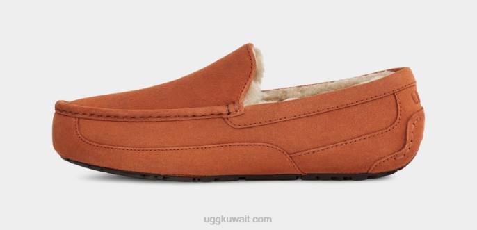 شبشب أسكوت خشب رجال UGG 08HB1651