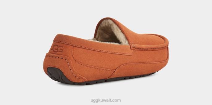 شبشب أسكوت خشب رجال UGG 08HB1651