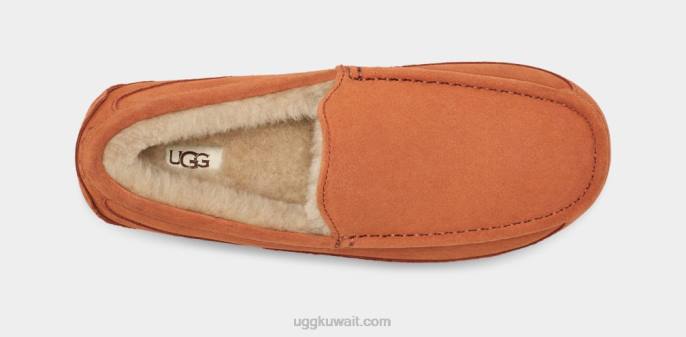 شبشب أسكوت خشب رجال UGG 08HB1651