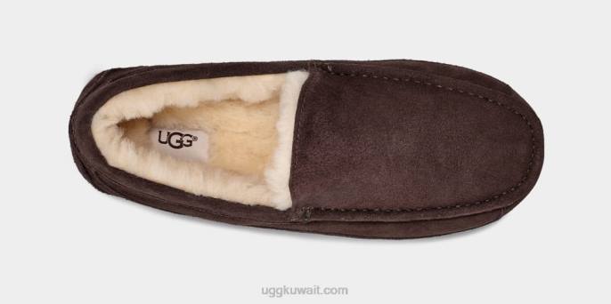 شبشب أسكوت إسبرسو رجال UGG 08HB1652