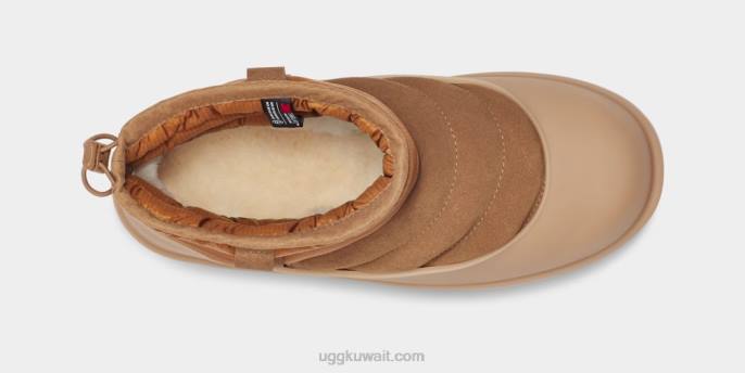 كلاسيك ميني سحب الطقس كستناء رجال UGG 08HB2307