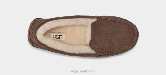 أنسلي إسبرسو نحيف UGG 08HB374