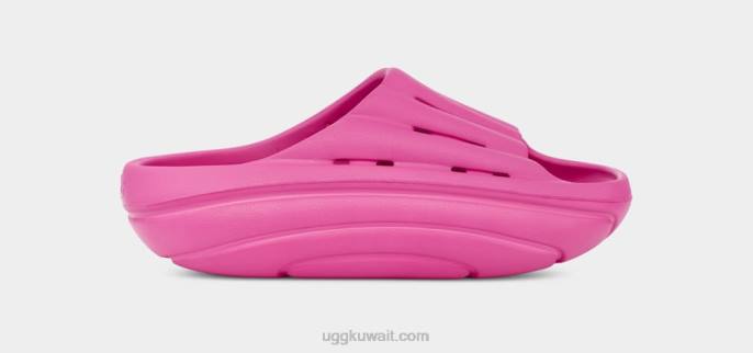 شريحة الرغوة فاكهة التنين نحيف UGG 08HB375
