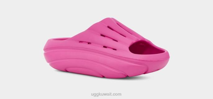 شريحة الرغوة فاكهة التنين نحيف UGG 08HB375