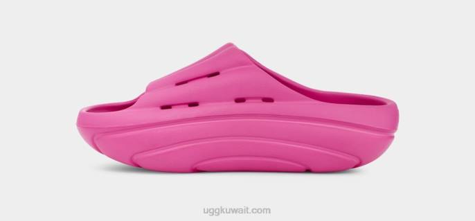 شريحة الرغوة فاكهة التنين نحيف UGG 08HB375