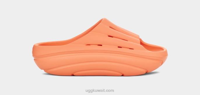 شريحة الرغوة الخوخ الحلو نحيف UGG 08HB376