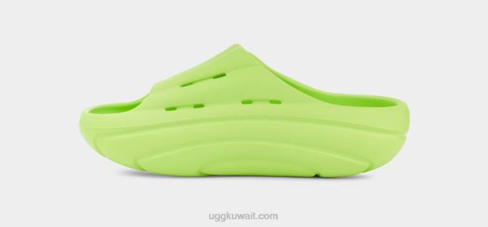 شريحة الرغوة شاحب شاحب نحيف UGG 08HB377