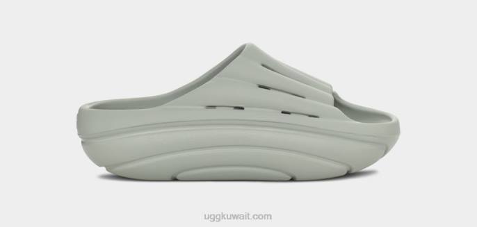 شريحة الرغوة السلوقي كلب الصيد نحيف UGG 08HB378