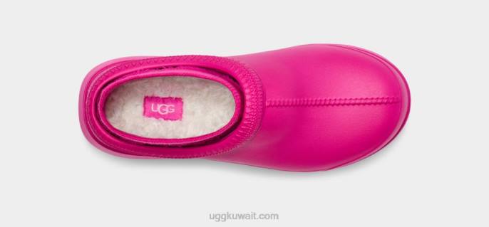 تاسمان س فاكهة التنين نحيف UGG 08HB429
